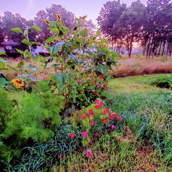 Meet your Posher, Jennifer - Picture 1 of 1